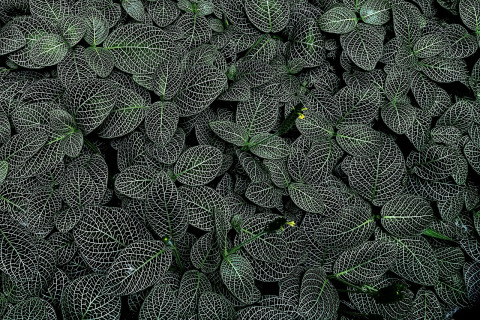 postmodern pattern 1